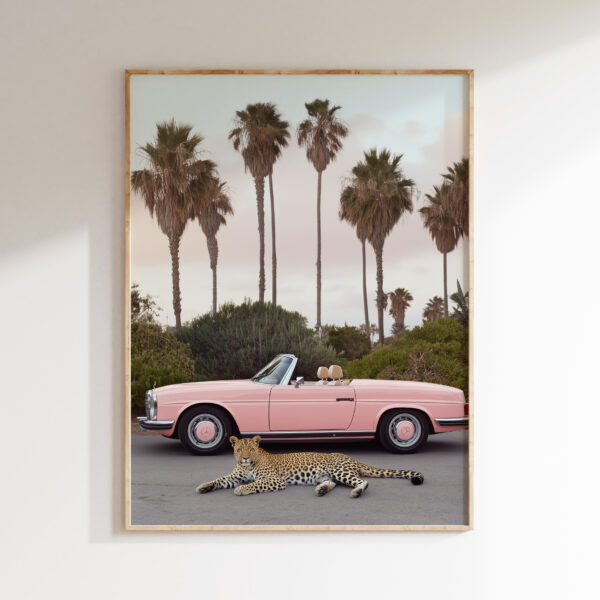 Leopard pink roadster wall art with retro car styling and bold color