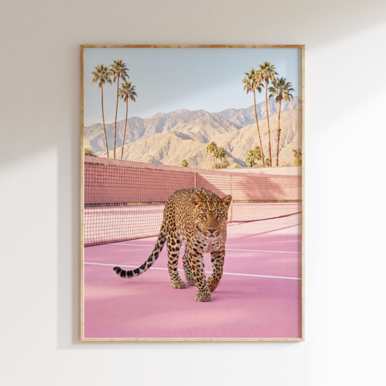 Framed Leopard on Pink Tennis Court art print showing a leopard on a blush-pink Palm Springs tennis court with desert palms
