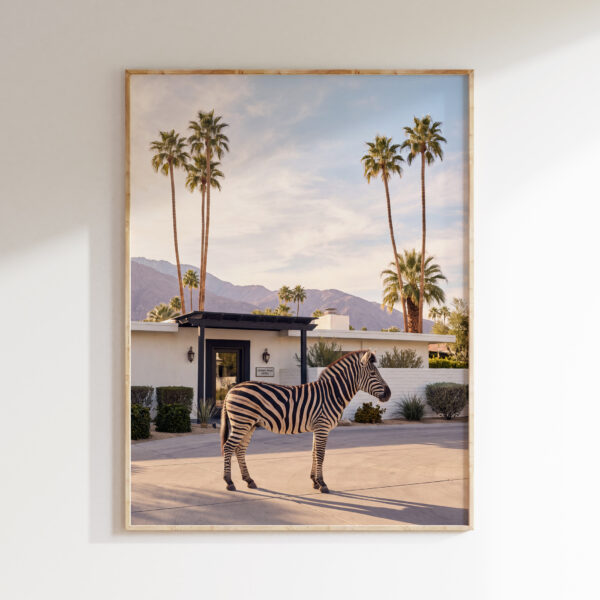 Palm Springs zebra wall art with a zebra outside Desert Palm Hotel